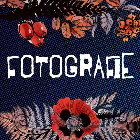 Alternative Hochzeitsfotografie für authentische und individuelle Hochzeiten: kreative Hochzeitsreportagen, emotionale Bilder, queerfreundliche Fotograf:innen – ideal für Menschen, die keine Standardfotos wollen.